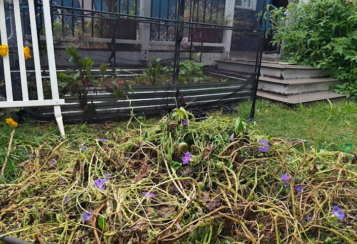 What We Keep, What We Let Go