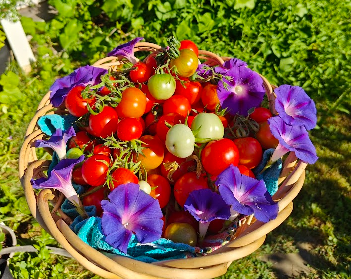 When the Garden Feels Like Family